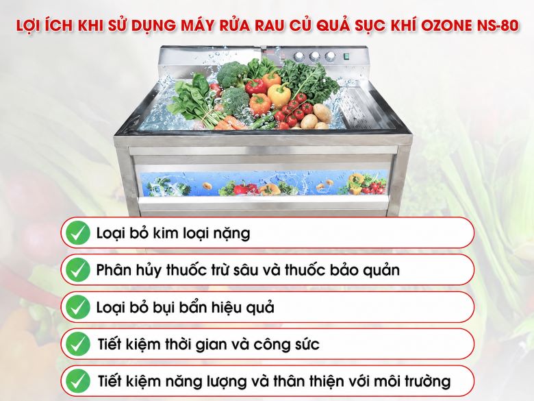 Lợi ích khi dùng máy rửa rau sục khí ozone công nghiệp NS-80 