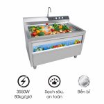 Máy rửa rau sục khí ozone công nghiệp NS-80