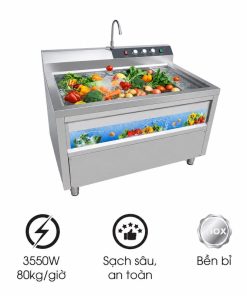 Máy rửa rau sục khí ozone công nghiệp NS-80