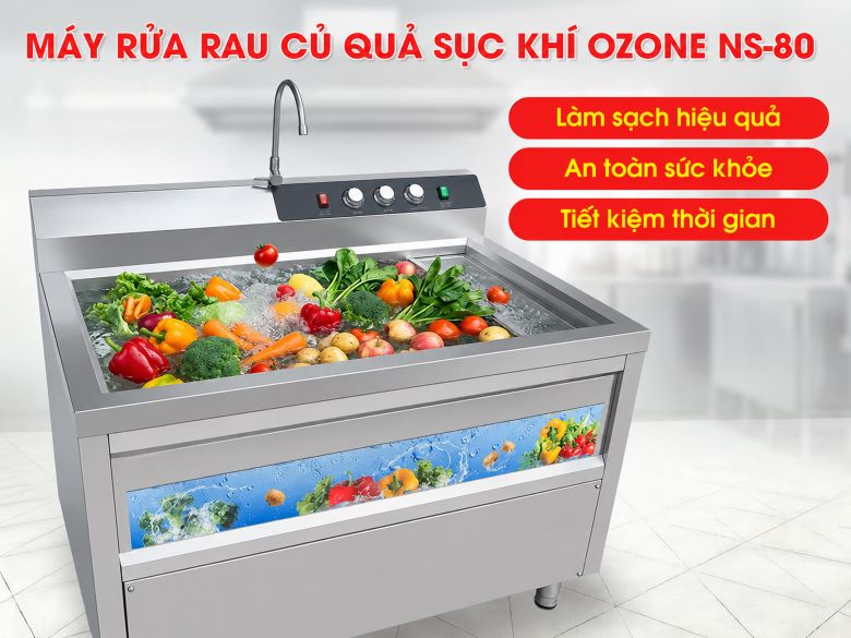 Máy rửa rau sục khí ozone công nghiệp NS-80