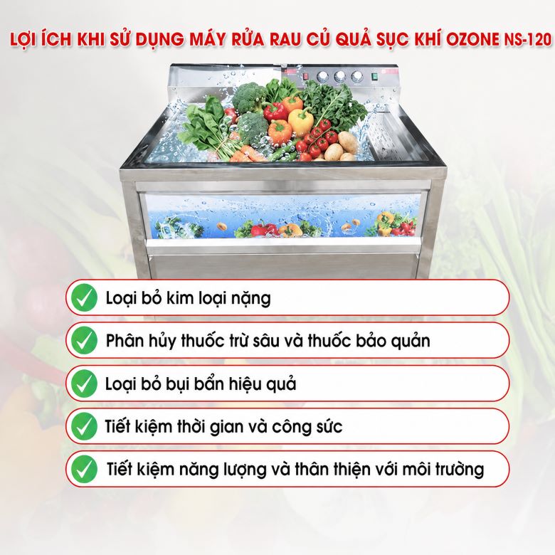 Lợi ích của máy rửa rau sục khí ozone công nghiệp