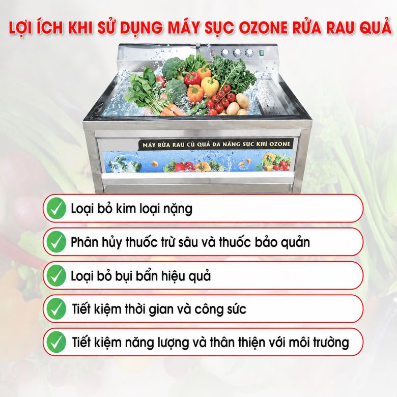 Lợi ích khi sử dụng máy rửa rau củ sục khí ozone công nghiệp NS-150 