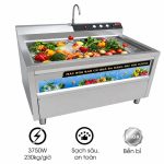 Máy rửa rau sục khí ozone NS-200